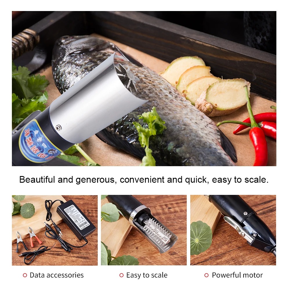 Cuchillo para mariscos, raspad - Mesh Coil Strip reseña y precio